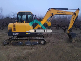 Excavadora Hyundai R60 usada